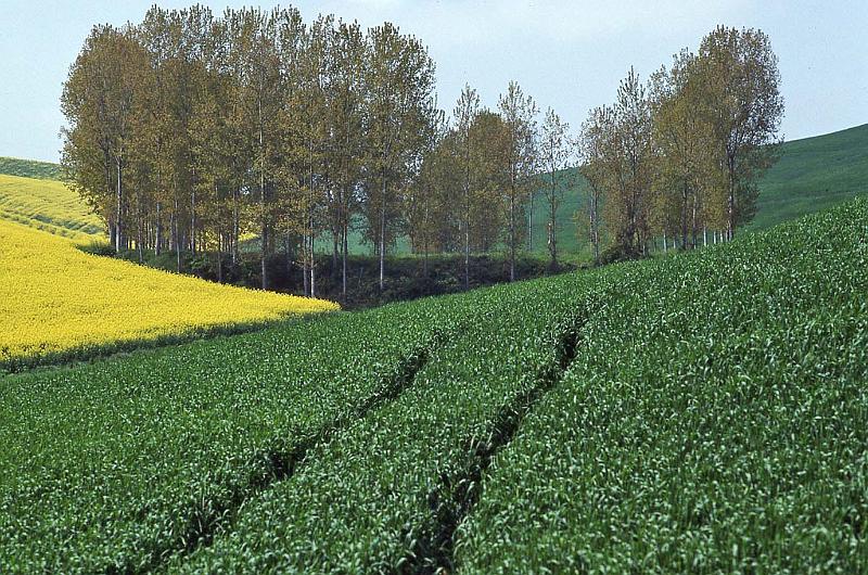 WT 2500 316-05 France 92.jpg